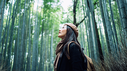 Bosque verde y exuberante