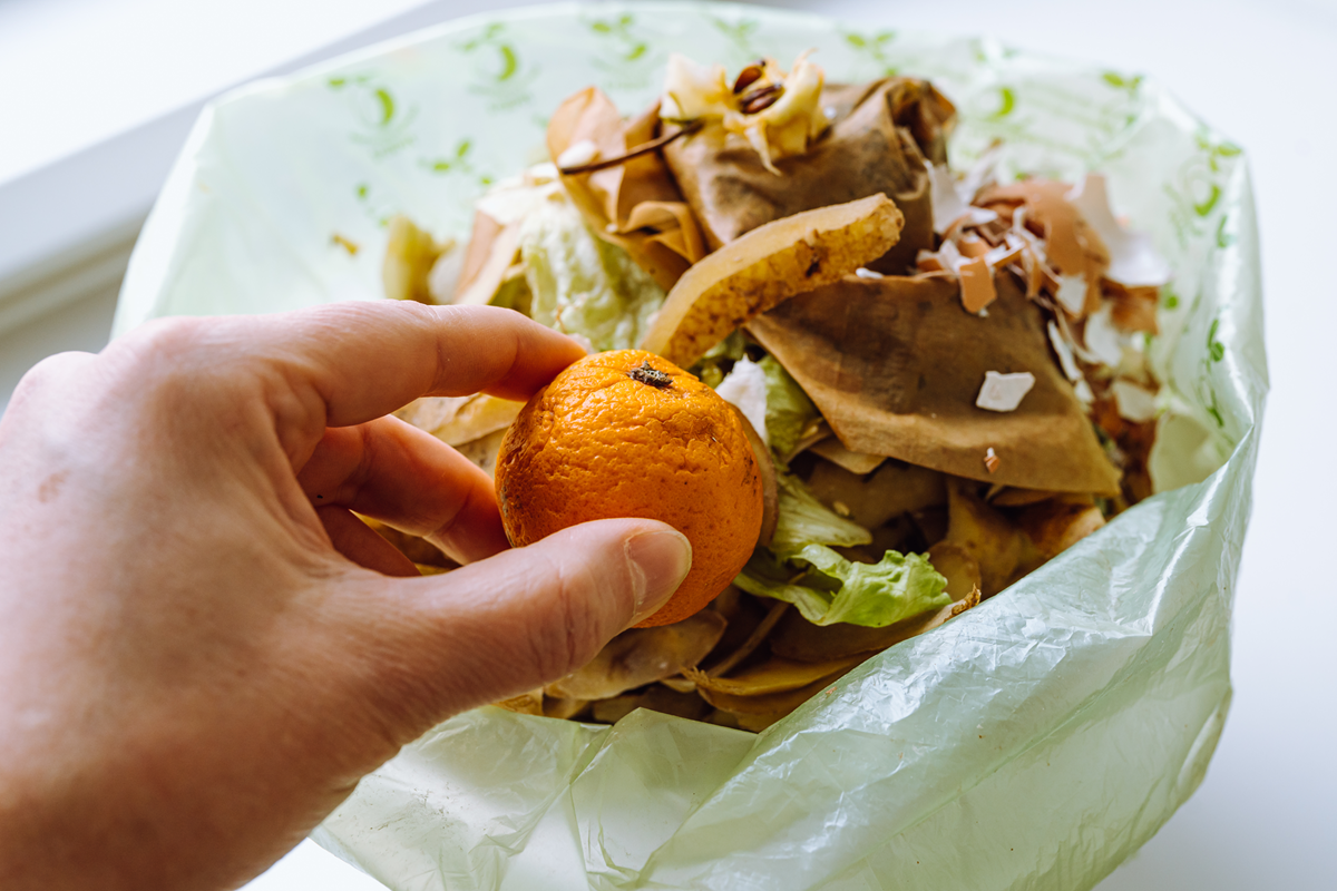 En la imagen, una mano tirando a una papelera una naranja en mal estado